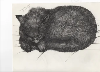 Diddy big face, 1997